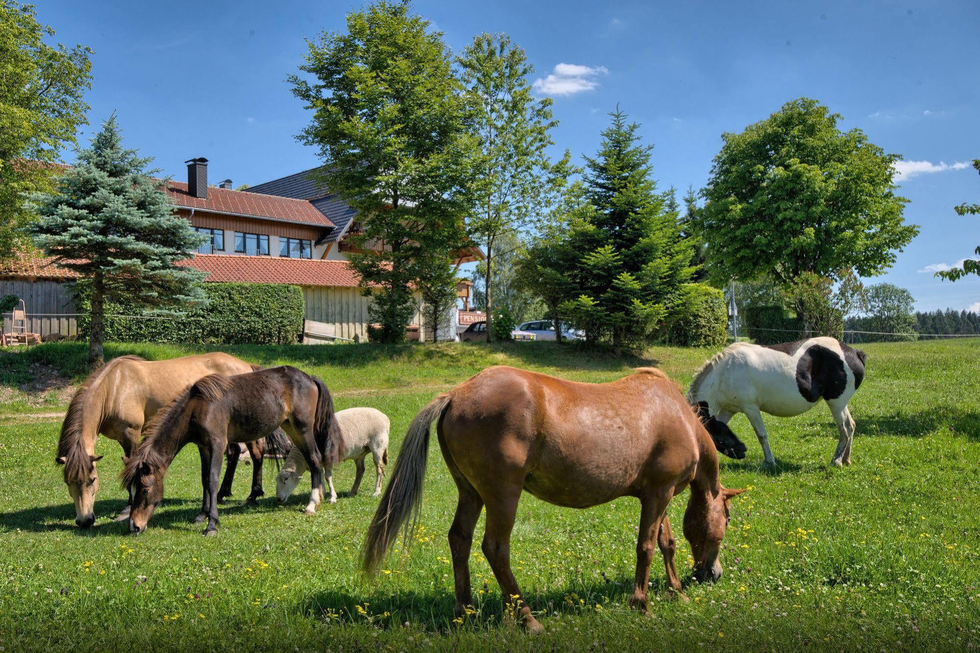 Landgasthof Zum Schwanen Горнберґ Екстер'єр фото